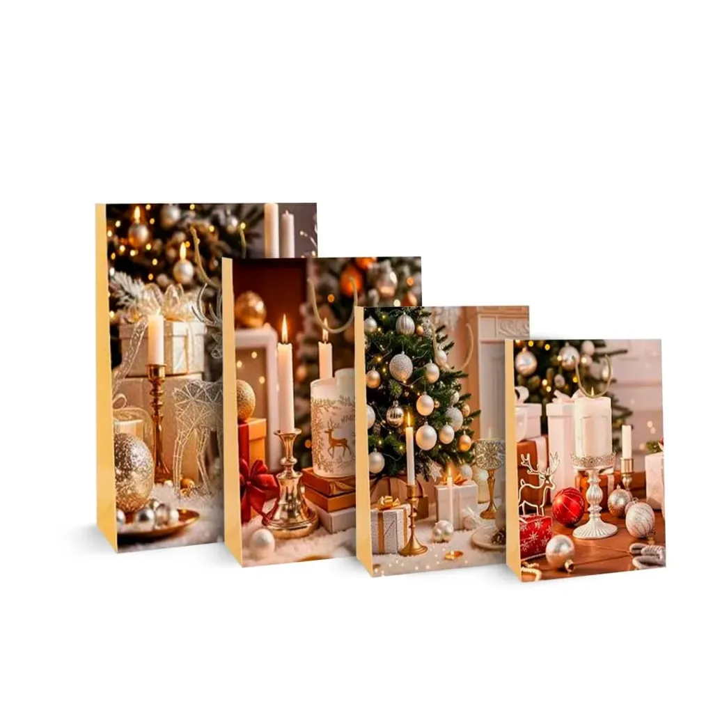 VN BOLSA DE REGALO GRANDE 41.5x30x12CM